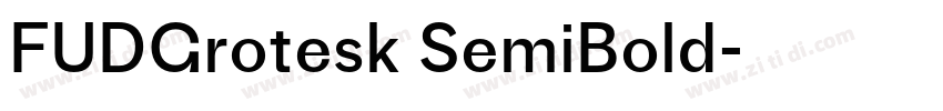FUDGrotesk SemiBold字体转换